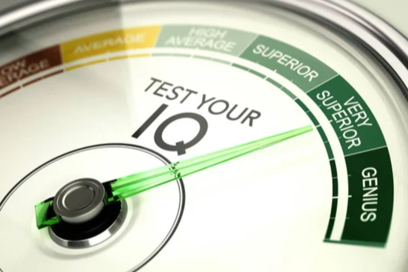 IQ Tinggi Bukan Segalanya: Ini yang Sering Dilupakan di Dunia Kerja Modern